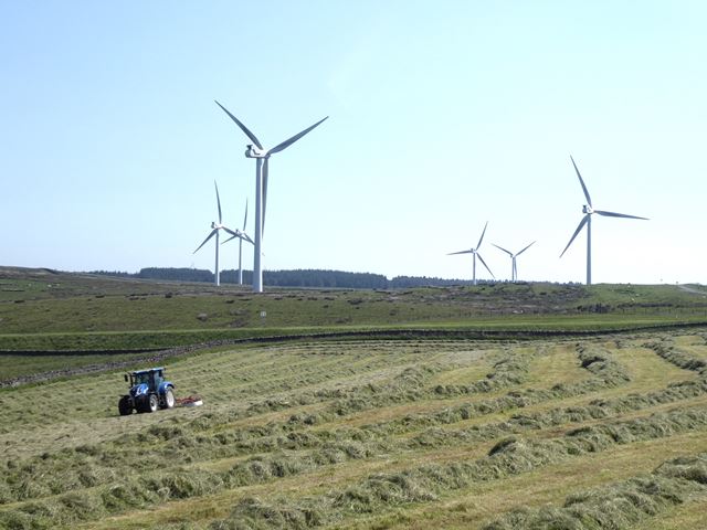 Windrows and windfarm