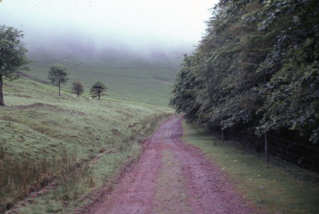 Track below Fan Frynych - Heol Senni, Powys