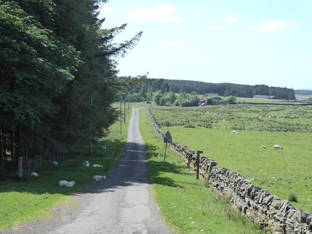 Country road west of North Heugh Farm