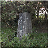 D4201 : Ballylumford Triangulation Pillar by Rossographer