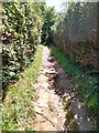 Pathway leading to Durlston Country Park, Swanage