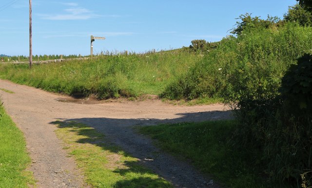 The Braes Loan Trail