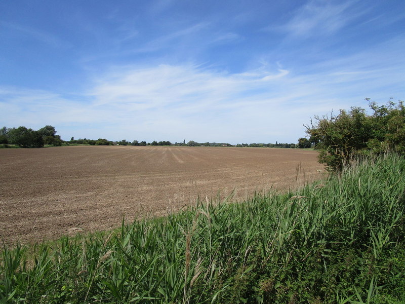 West Field © Jonathan Thacker cc-by-sa/2.0 :: Geograph Britain and Ireland