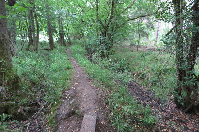 Path through Buttockspire Wood