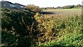 Field Drainage near Ashfield