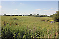 Site of Benedictine Priory from the south-east corner, Minting