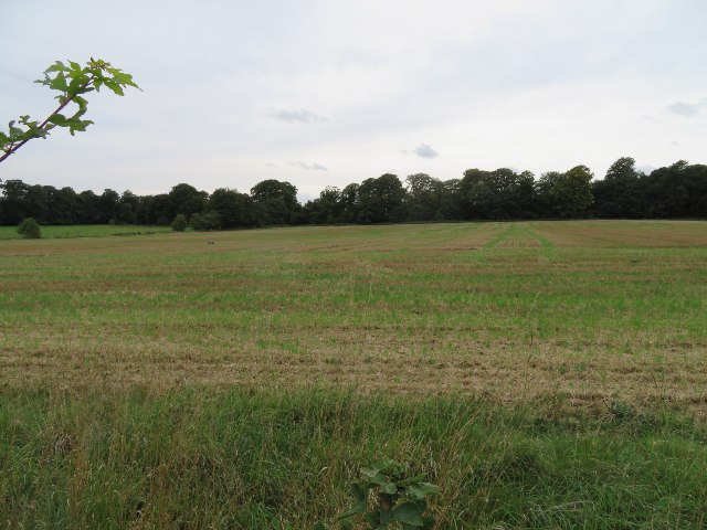 Fields in Worting Park