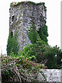 Q9909 : Castles of Munster: Castle Island, Kerry (2a) by Garry Dickinson