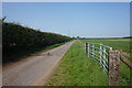 Field Lane towards Westfield Farm