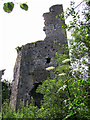 R6258 : Castles of Munster: Castle Troy, Limerick (1) by Garry Dickinson