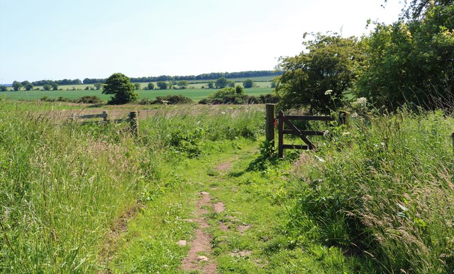 The Braes Loan Trail © Bill Kasman cc-by-sa/2.0 :: Geograph Britain and ...