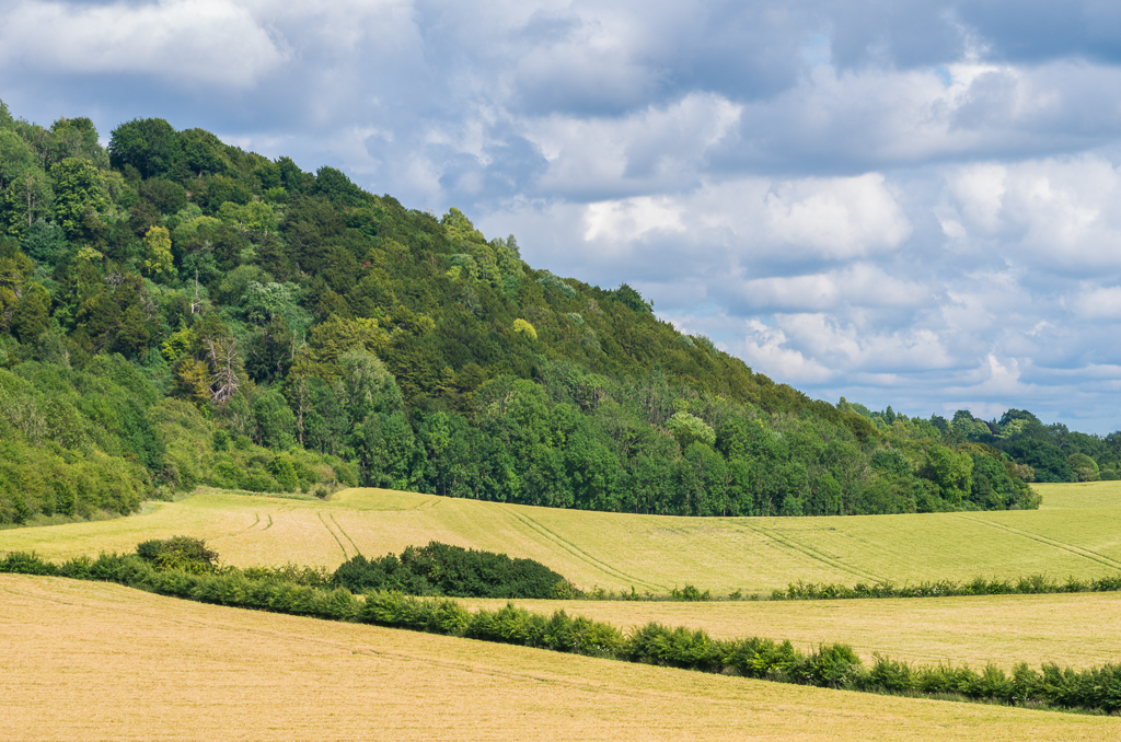 Towards Mount Hill © Ian Capper cc-by-sa/2.0 :: Geograph Britain and ...