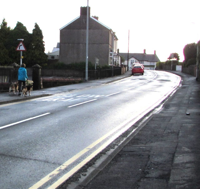 Early morning dog walker, Pillmawr Road, Malpas, Newport