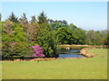 Small Lake, Tan-y-foel