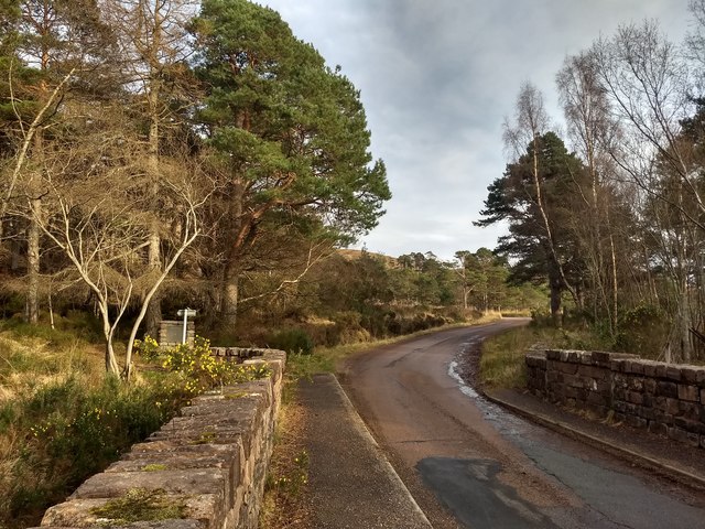 The road above Torridon House