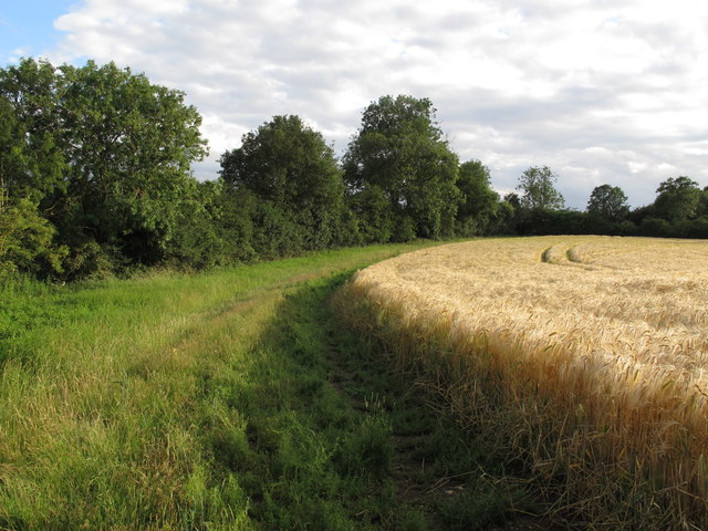 Arable land near Millers Farm, Norwood End