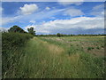 Field alongside Brooks Road