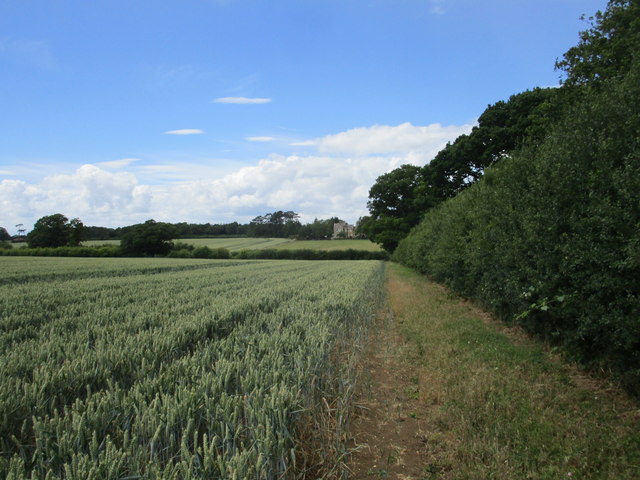 Footpath alongside Denford Old Ash