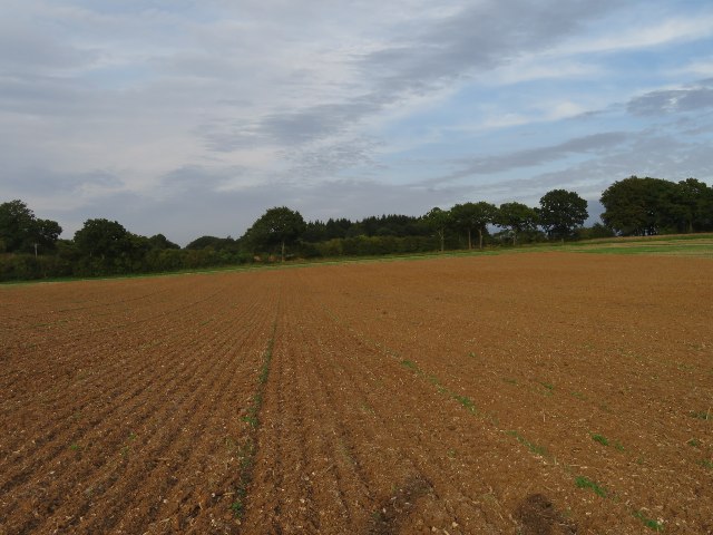 Fields north of Nurshanger Farm