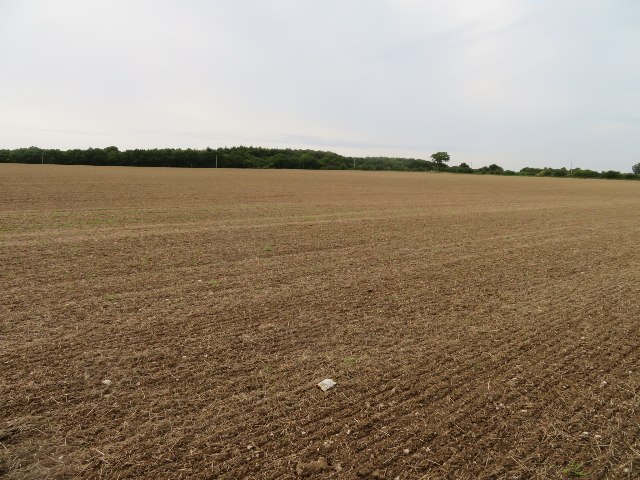 Field north of Nurshanger Farm