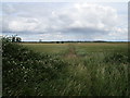 Footpath to Hargrave