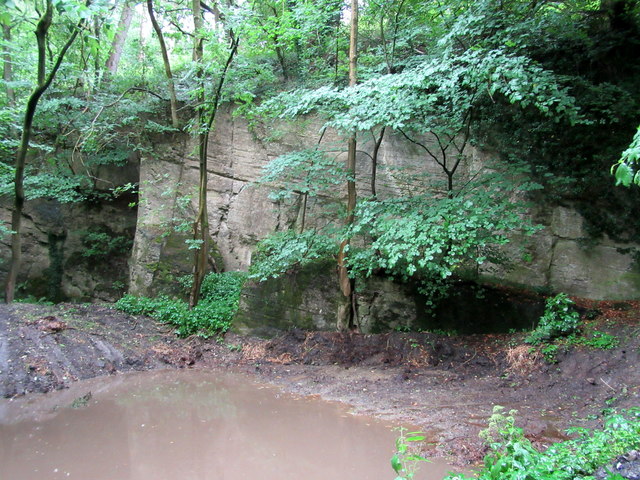 Long-abandoned quarry