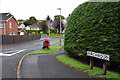 Road leading to Birchwood, Lisnamallard