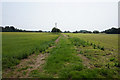 Path leading to Carr Lane