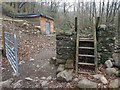 A shed in the wood