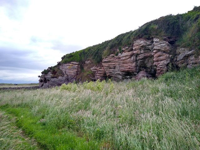 Cliffs at Buddo Ness