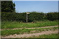 Fingerpost near Gale Carr Farm