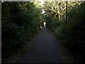 Public bridleway behind Stonecroft Gardens, High Heaton, Newcastle upon Tyne