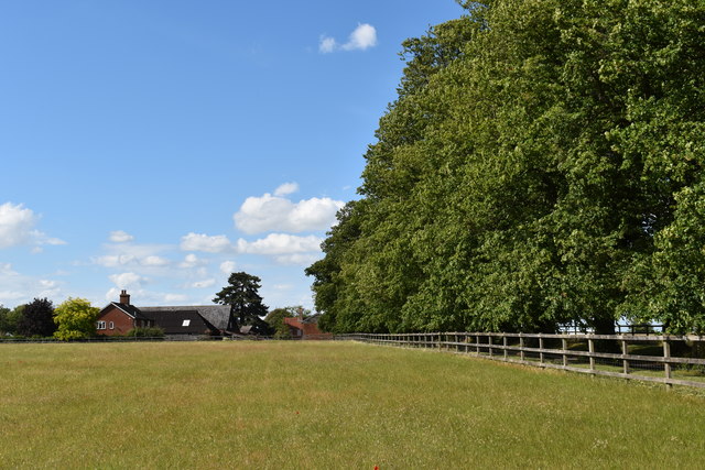 Tree-lined driveway to Lux Farm