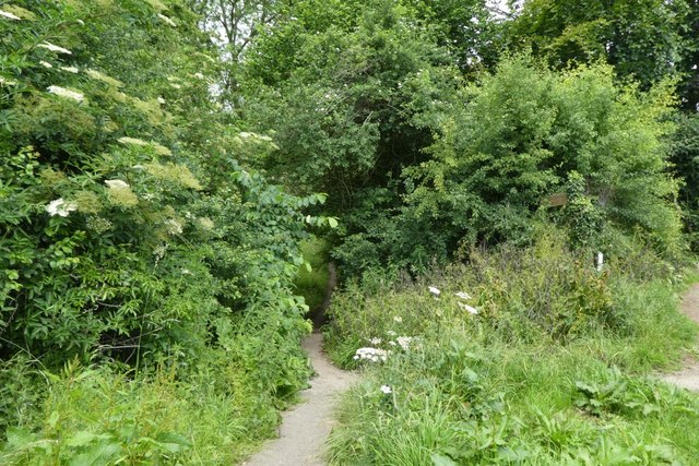 Footpath to the Derwent