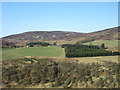 Looking across Glen Prosen