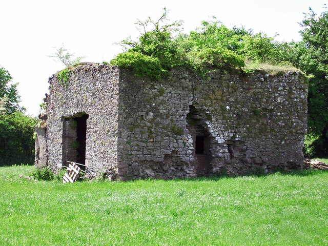 Castles of Munster: Dannanstown, Cork (1)
