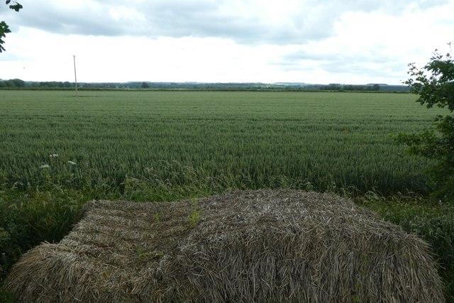 Farmland beside the A64