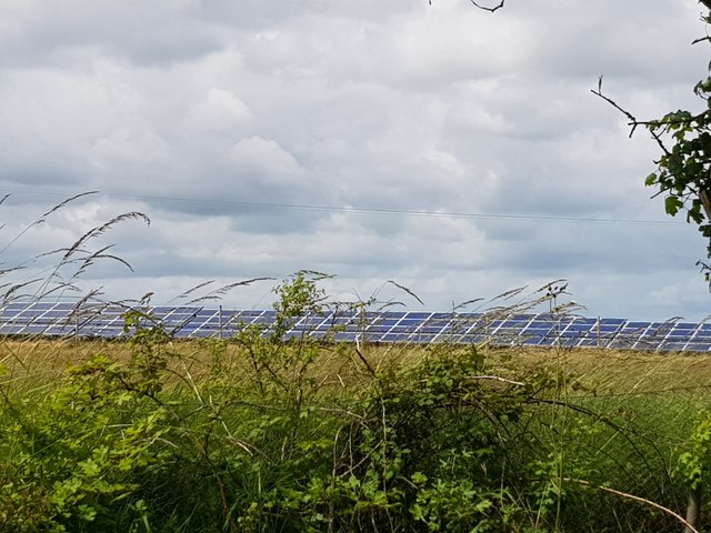 Solar panels viewed over the hedge