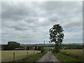 Track to Field Farm, near Egerton