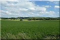 Farmland south west of Burythorpe