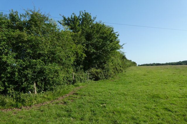 Path along the field edge