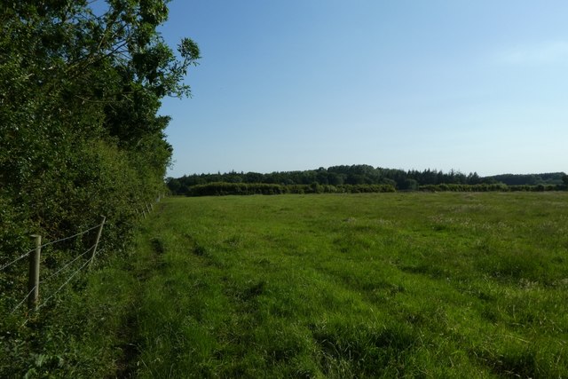Path along the edge of the field