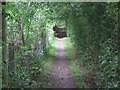 Public Footpath Near Seghill