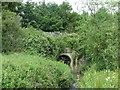 Culvert on the Seaton Burn, Seghill