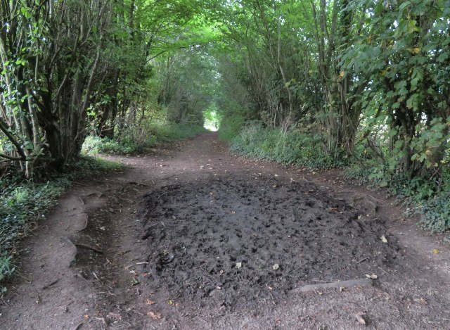 A Muddy Spot On Church Lane © Mr Ignavy :: Geograph Britain And Ireland