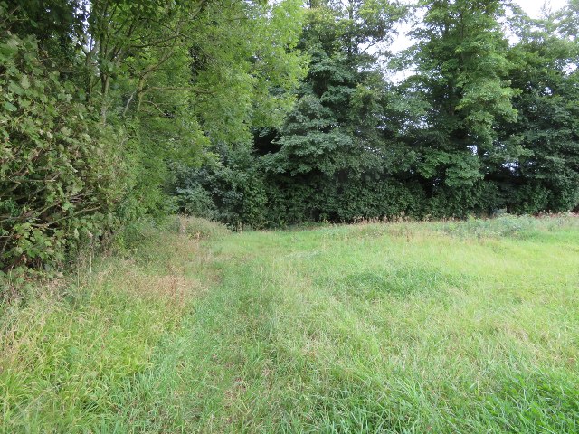 Southeast corner of Middle Field (60 acres)
