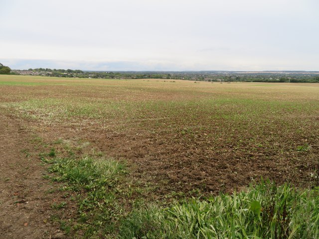 View across Severalls West - 63 acres