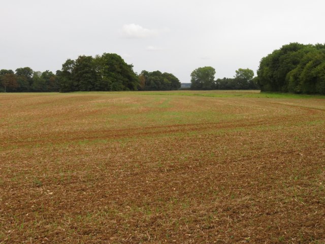View across Middle Field (60 acres)