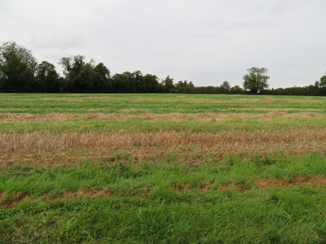 View Across Kennel Field © Mr Ignavy :: Geograph Britain And Ireland