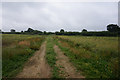 Farm track south of Howden Road